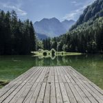 successful Travel Agents Offer Free Consults