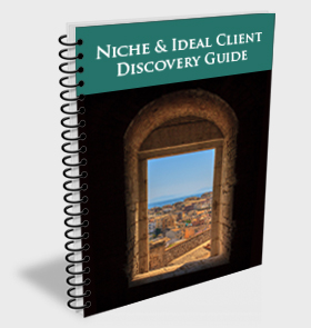 niche guide book